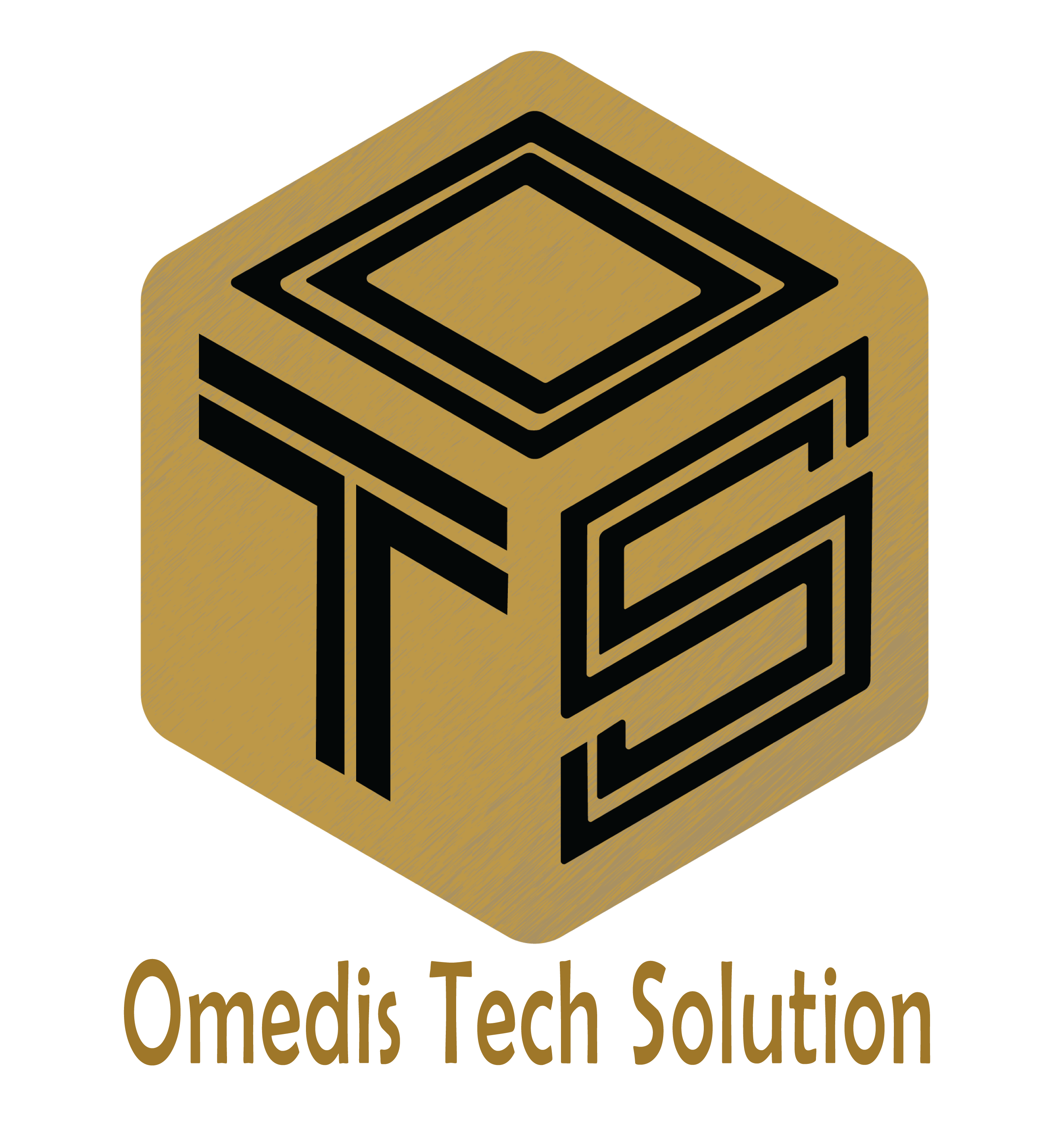TS logo-01-05-05-05